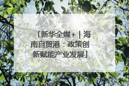 新华全媒+｜海南自贸港：政策创新赋能产业发展