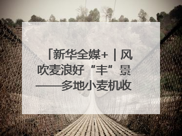 新华全媒+｜风吹麦浪好“丰”景——多地小麦机收一线见闻