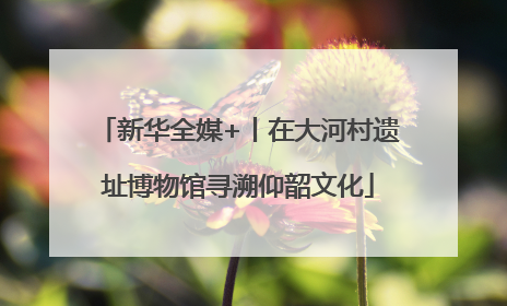 新华全媒+丨在大河村遗址博物馆寻溯仰韶文化