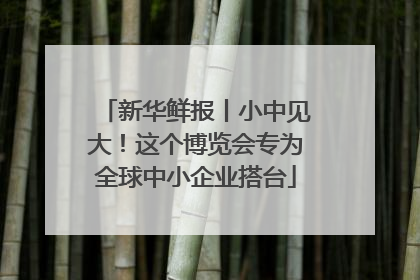 新华鲜报丨小中见大！这个博览会专为全球中小企业搭台