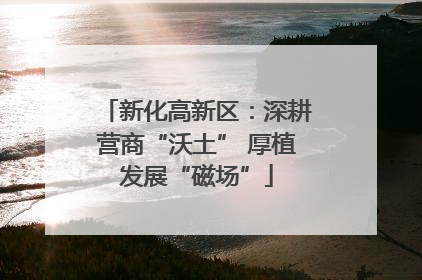 新化高新区：深耕营商“沃土” 厚植发展“磁场”