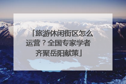 旅游休闲街区怎么运营？全国专家学者齐聚岳阳献策