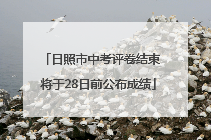 日照市中考评卷结束 将于28日前公布成绩