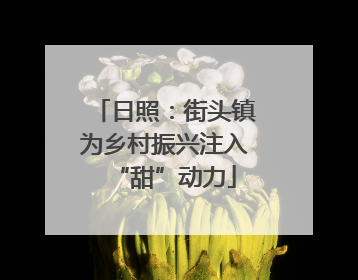 日照：街头镇为乡村振兴注入“甜”动力