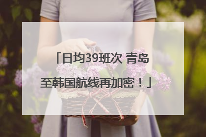日均39班次 青岛至韩国航线再加密！