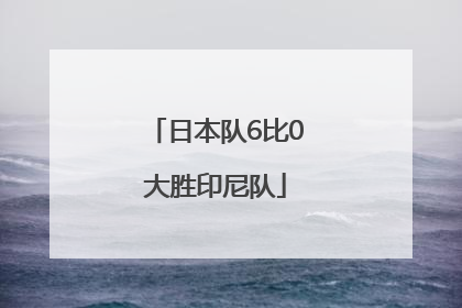 日本队6比0大胜印尼队