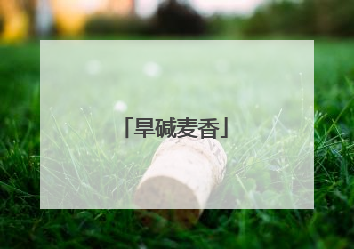 旱碱麦香
