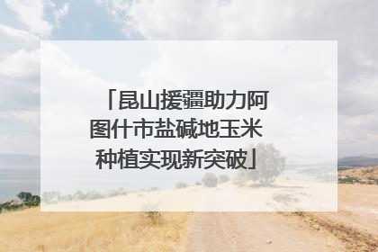 昆山援疆助力阿图什市盐碱地玉米种植实现新突破
