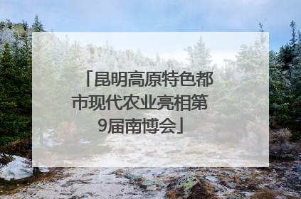 昆明高原特色都市现代农业亮相第9届南博会