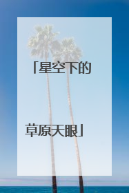 星空下的草原天眼