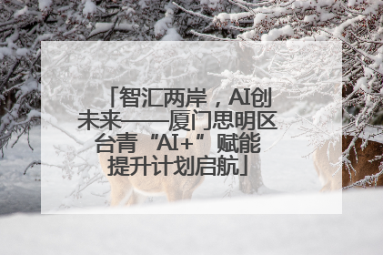 智汇两岸，AI创未来——厦门思明区台青“AI+”赋能提升计划启航