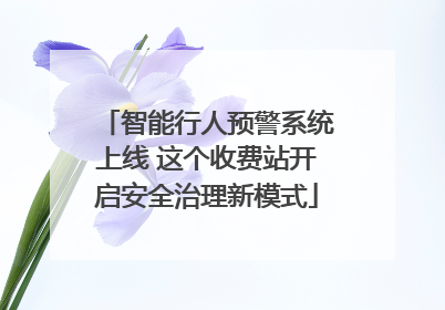 智能行人预警系统上线 这个收费站开启安全治理新模式