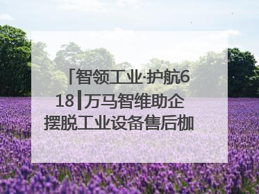 智领工业·护航618┃万马智维助企摆脱工业设备售后枷锁，实现服务与效能价值共振！