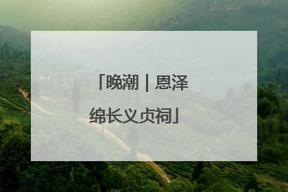晚潮｜恩泽绵长义贞祠