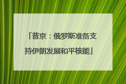普京：俄罗斯准备支持伊朗发展和平核能