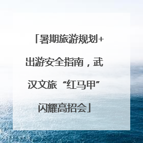 暑期旅游规划+出游安全指南，武汉文旅“红马甲”闪耀高招会