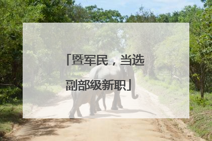 暨军民，当选副部级新职