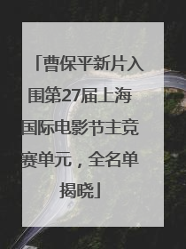 曹保平新片入围第27届上海国际电影节主竞赛单元，全名单揭晓