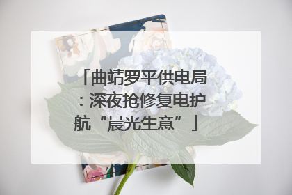 曲靖罗平供电局：深夜抢修复电护航“晨光生意”