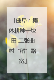曲阜：集体耕种一块田 二张曲村“稻”路宽