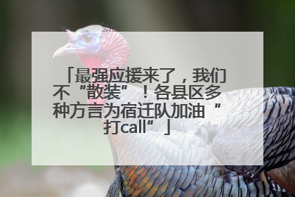 最强应援来了，我们不“散装”！各县区多种方言为宿迁队加油“打call”