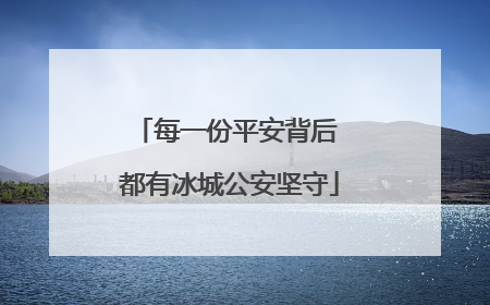 每一份平安背后 都有冰城公安坚守