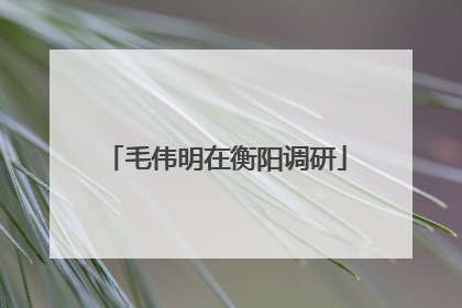 毛伟明在衡阳调研