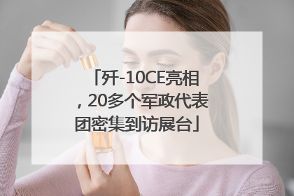 歼-10CE亮相，20多个军政代表团密集到访展台