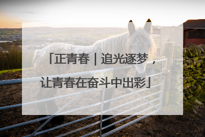正青春｜追光逐梦，让青春在奋斗中出彩
