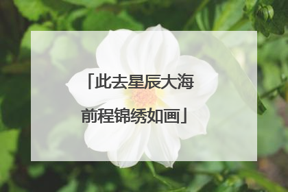 此去星辰大海 前程锦绣如画