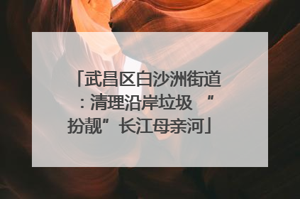 武昌区白沙洲街道：清理沿岸垃圾 “扮靓”长江母亲河