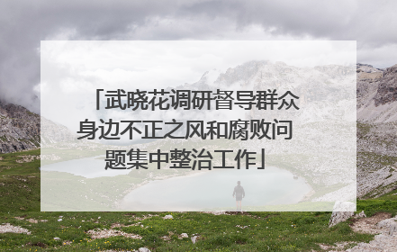 武晓花调研督导群众身边不正之风和腐败问题集中整治工作