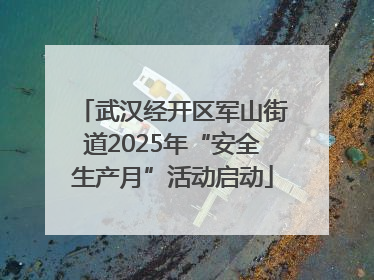 武汉经开区军山街道2025年“安全生产月”活动启动