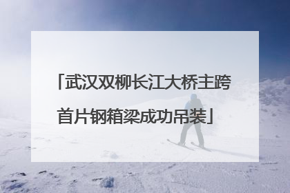 武汉双柳长江大桥主跨首片钢箱梁成功吊装