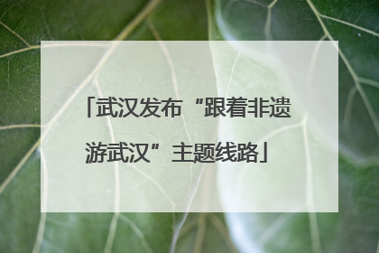武汉发布“跟着非遗游武汉”主题线路