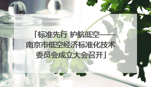 标准先行 护航低空——南京市低空经济标准化技术委员会成立大会召开