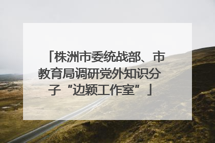 株洲市委统战部、市教育局调研党外知识分子“边颖工作室”