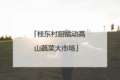 桂东村厨撬动高山蔬菜大市场