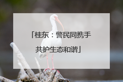桂东：警民同携手 共护生态和谐
