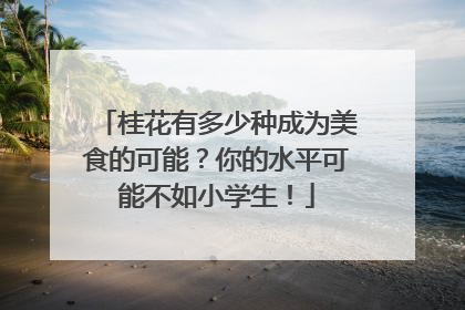 桂花有多少种成为美食的可能？你的水平可能不如小学生！