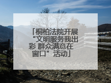 桐柏法院开展“文明服务我出彩 群众满意在窗口”活动