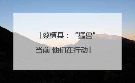 桑植县：“猛兽”当前 他们在行动