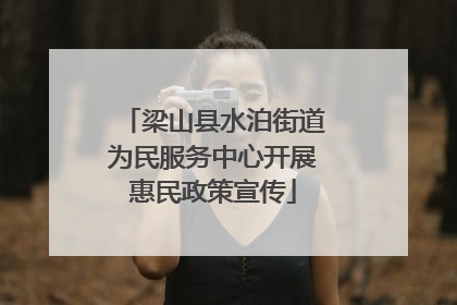 梁山县水泊街道为民服务中心开展惠民政策宣传