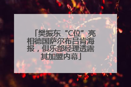 樊振东“C位”亮相德国萨尔布吕肯海报，俱乐部经理透露其加盟内幕