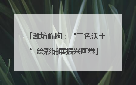 潍坊临朐：“三色沃土”绘彩铺展振兴画卷