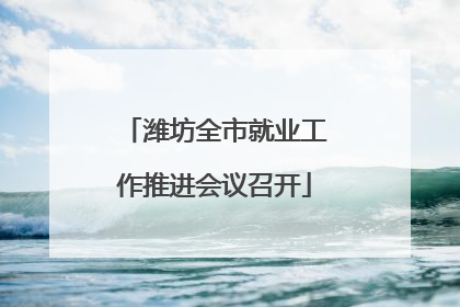 潍坊全市就业工作推进会议召开