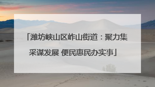 潍坊峡山区岞山街道：聚力集采谋发展 便民惠民办实事