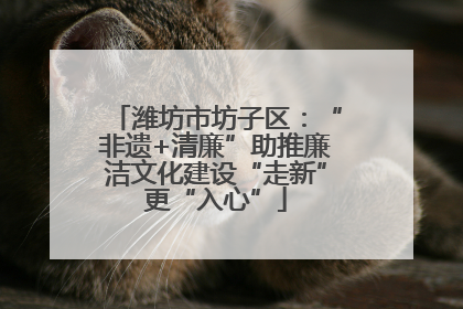 潍坊市坊子区：“非遗+清廉”助推廉洁文化建设“走新”更“入心”