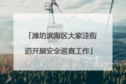 潍坊滨海区大家洼街道开展安全巡查工作