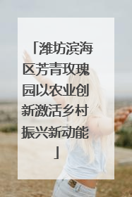 潍坊滨海区芳青玫瑰园以农业创新激活乡村振兴新动能